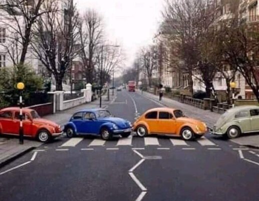 beetles.jpg