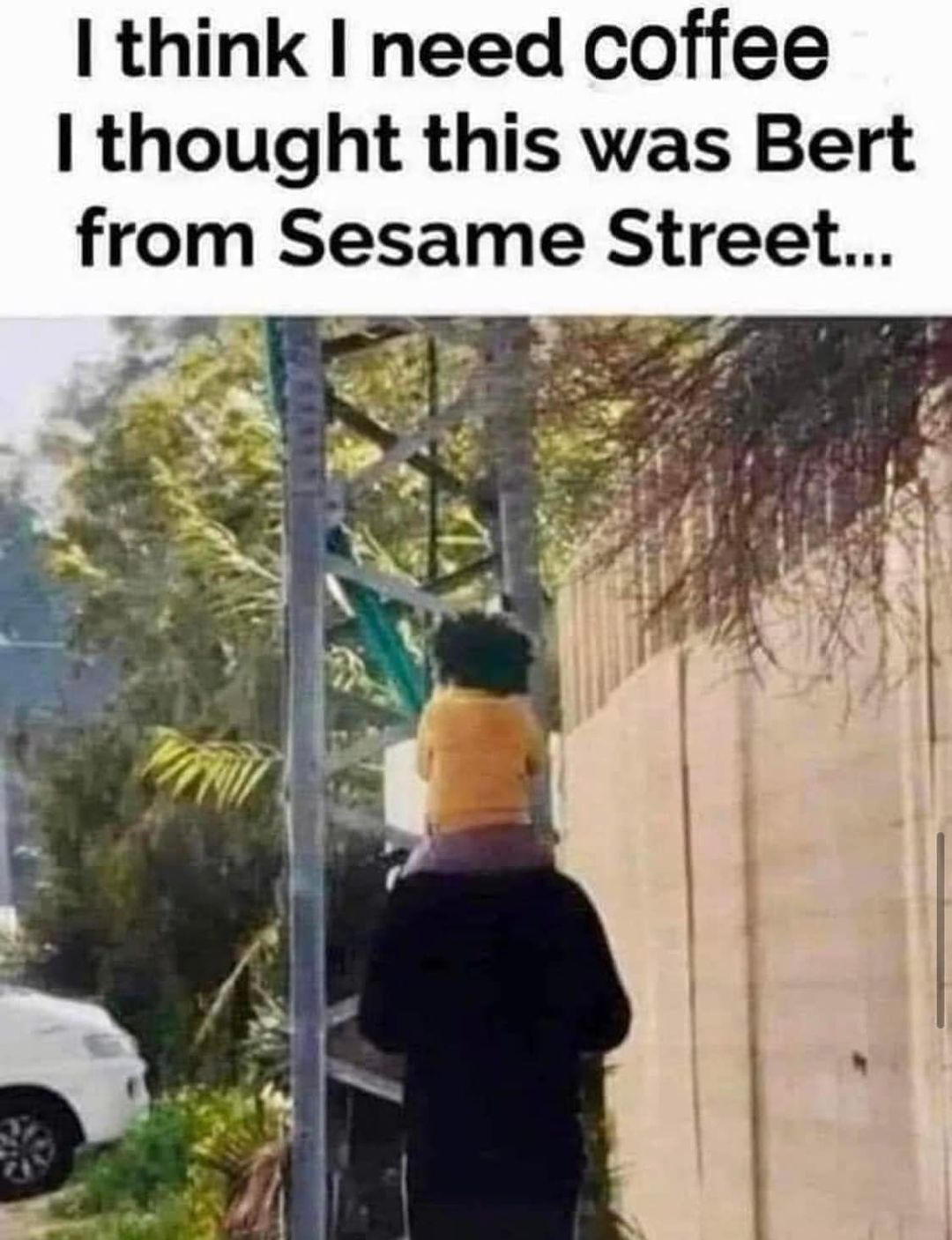 bert.jpg