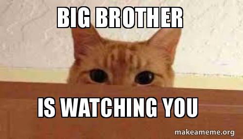 big-brother-is-5ab082.jpg