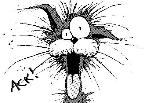 BilltheCat.jpg