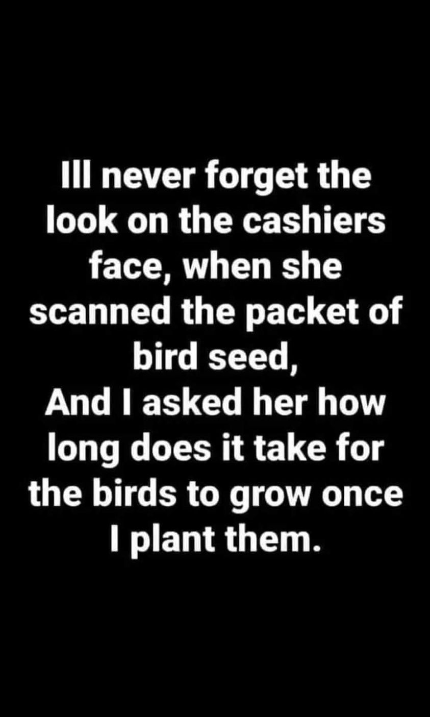 bird seed.jpg