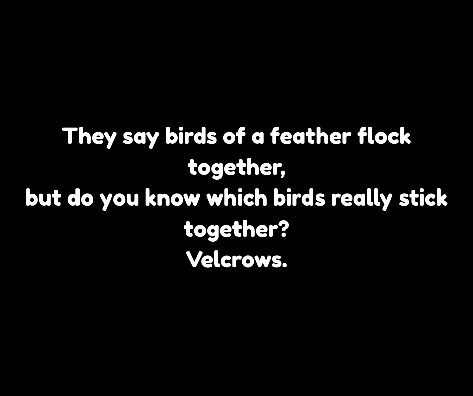 birds of a feather.jpg