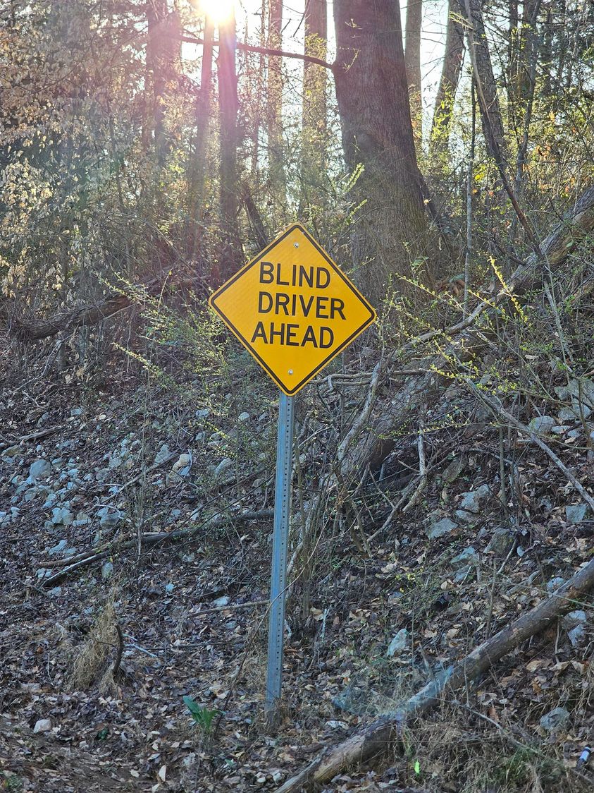 blind driver.jpg