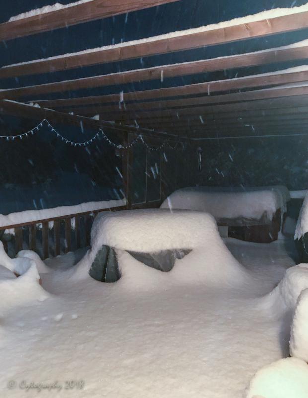 Blizzard 28 Dec 2018.jpg
