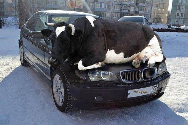 block heater.jpg