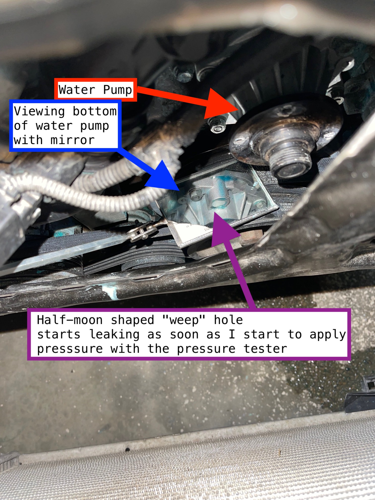 BMW Z4 leaking water pump.jpg