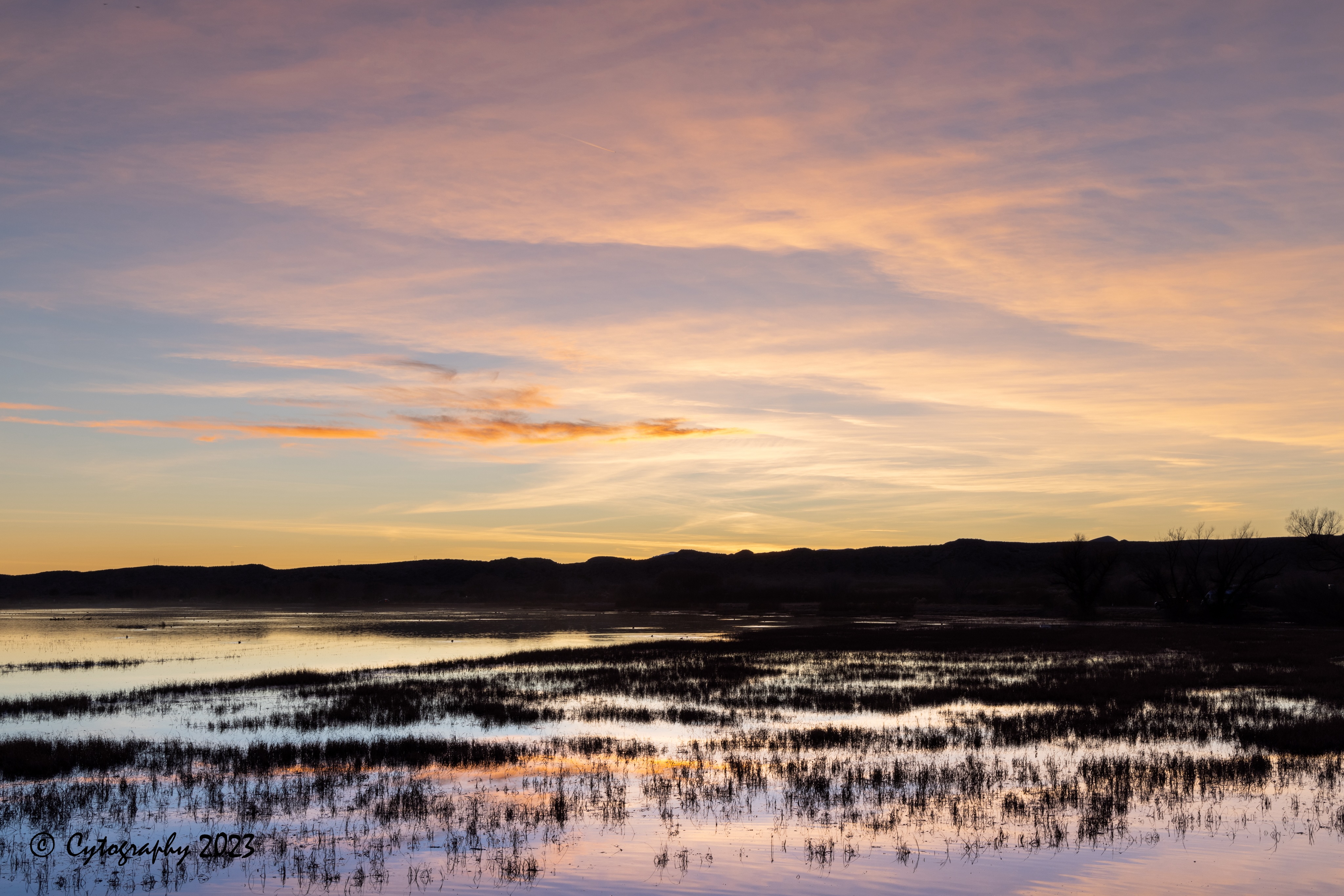 Bosque-Del-Apache-December 10, 2023-5 copy.jpeg