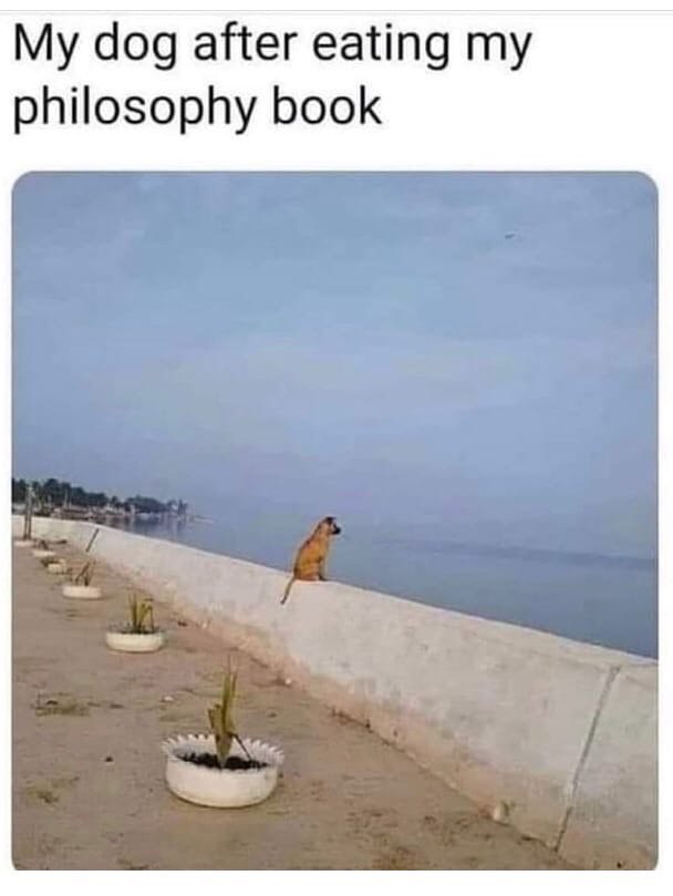 bp106.jpg