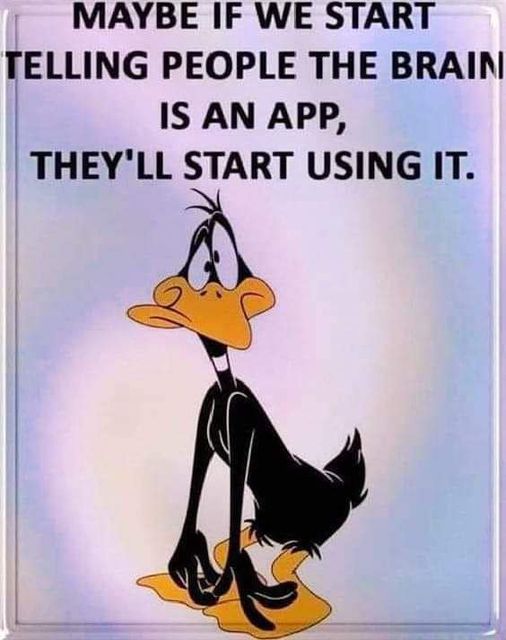 Brain is an APP.jpg