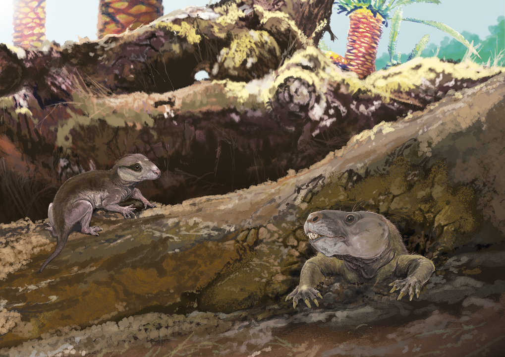 Brasilodon_and_Riograndia.png