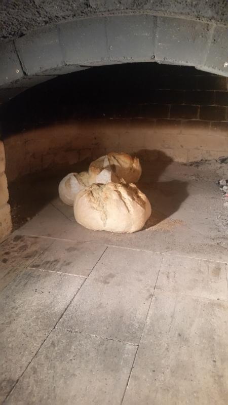 Bread in the brick oven.jpg