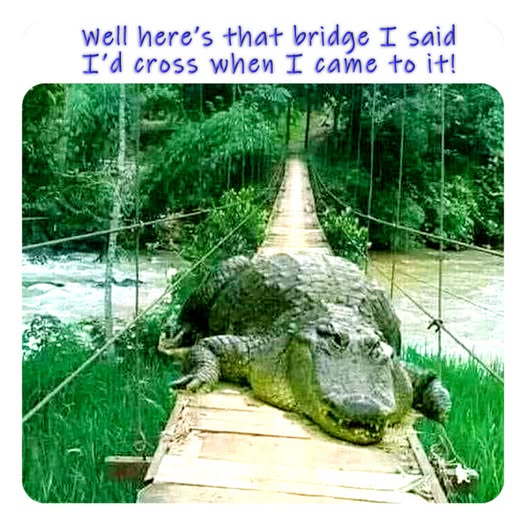 Bridge I said I would cross.jpg