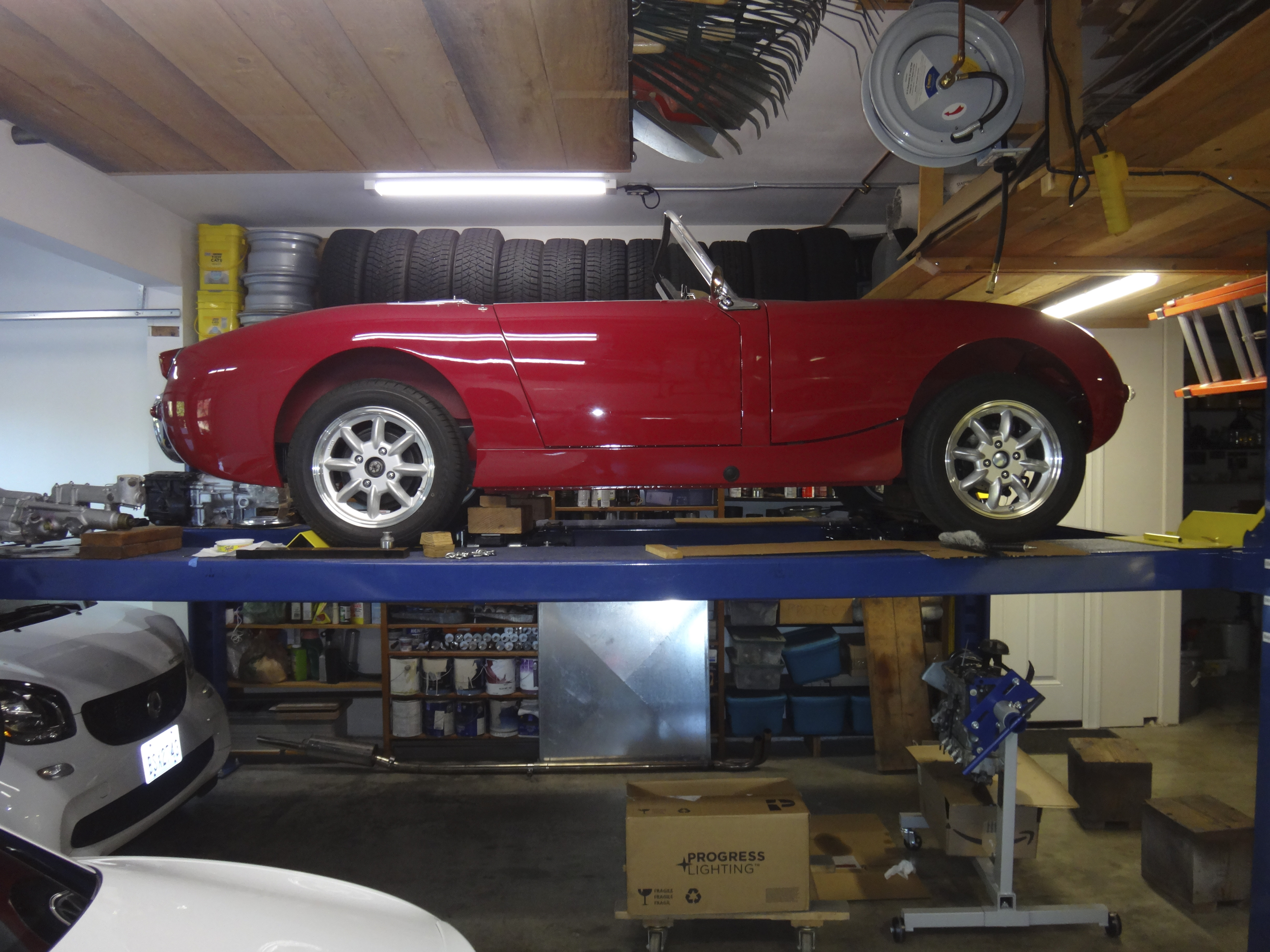 Bugeye.jpg