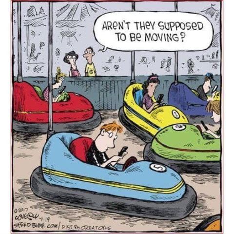 Bumper cars.jpg
