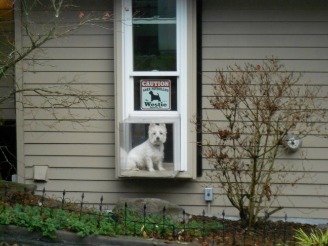 Busby in box with new sign - 2012.JPG