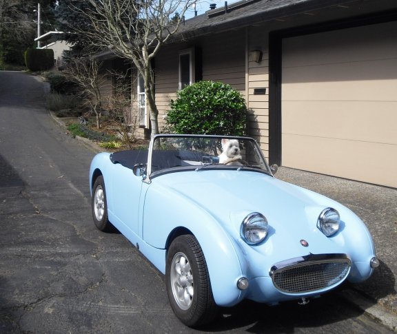 Busby ready to drive.jpg