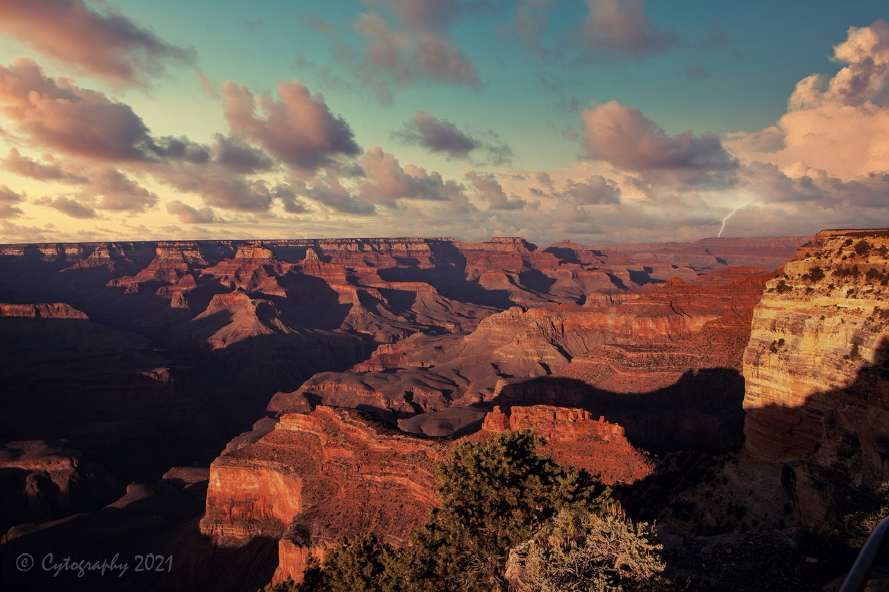 C489F936-1463-449B-9FD7-F091C7FD2E11.jpeg