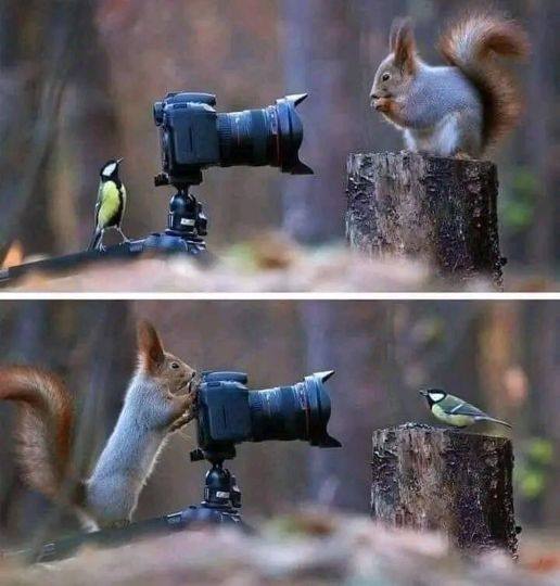 camera.jpg
