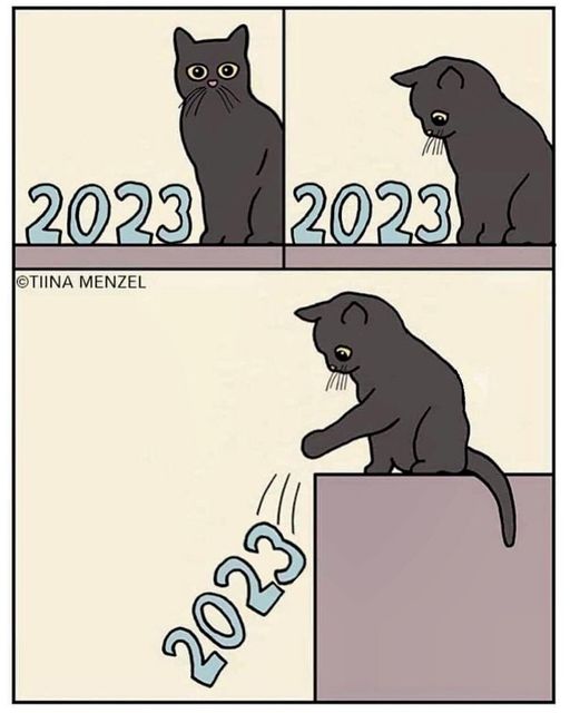 cat-2023.jpg