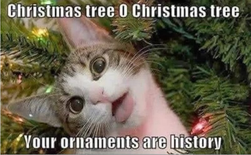 Cat Ornaments.jpeg