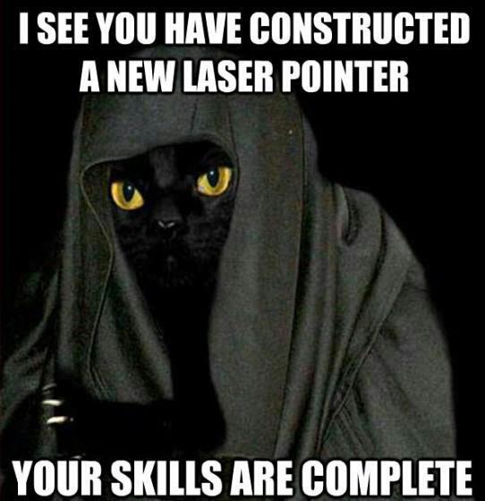 cat_laser_pointer.jpg