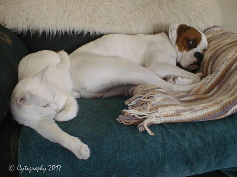 Chance n Devon-0007.jpg