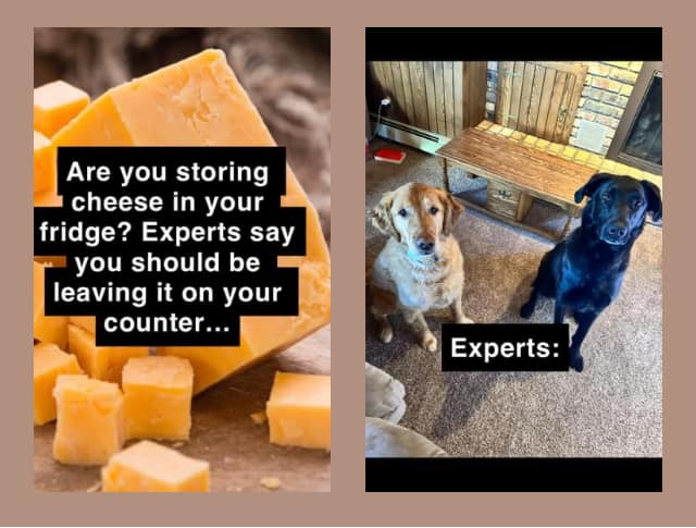 Cheese experts.jpg