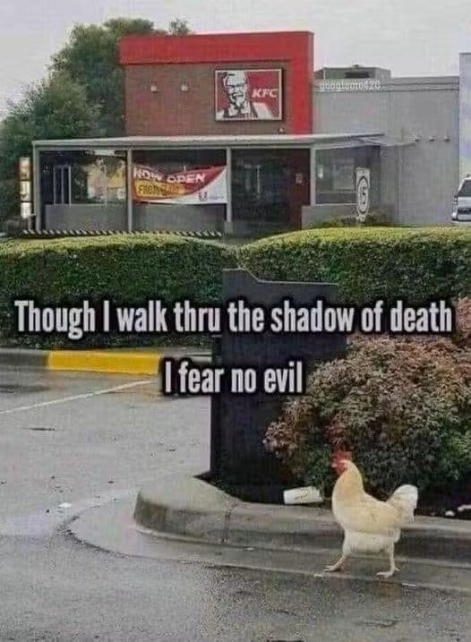 Chicken walking through valley of death.jpg
