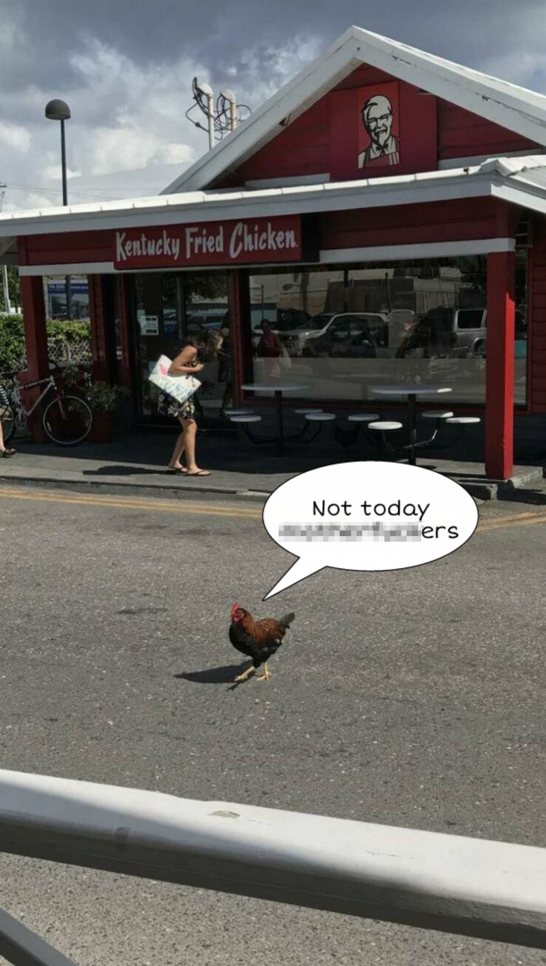 chicken_cross_road.jpg