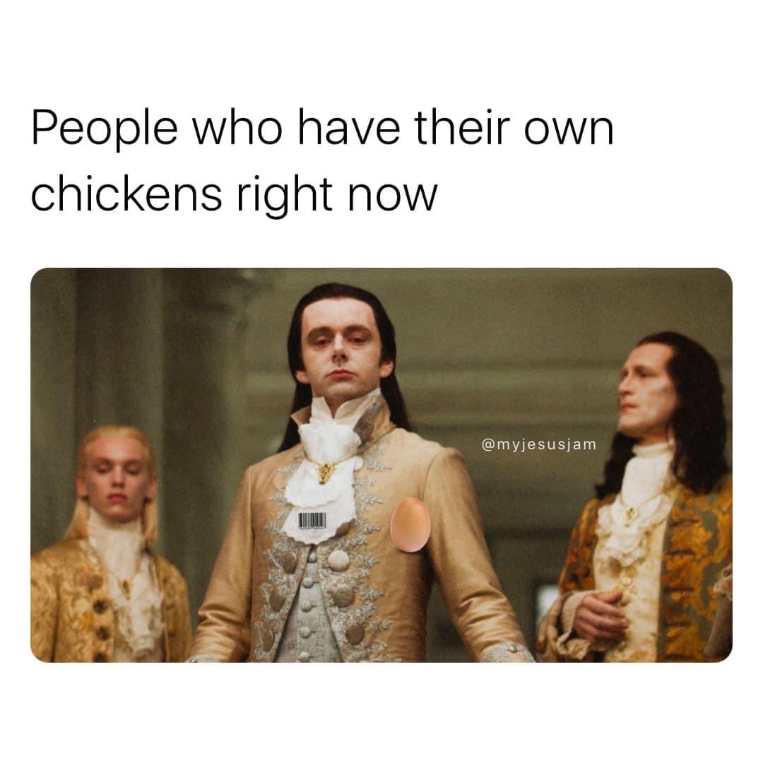 chickens.jpeg