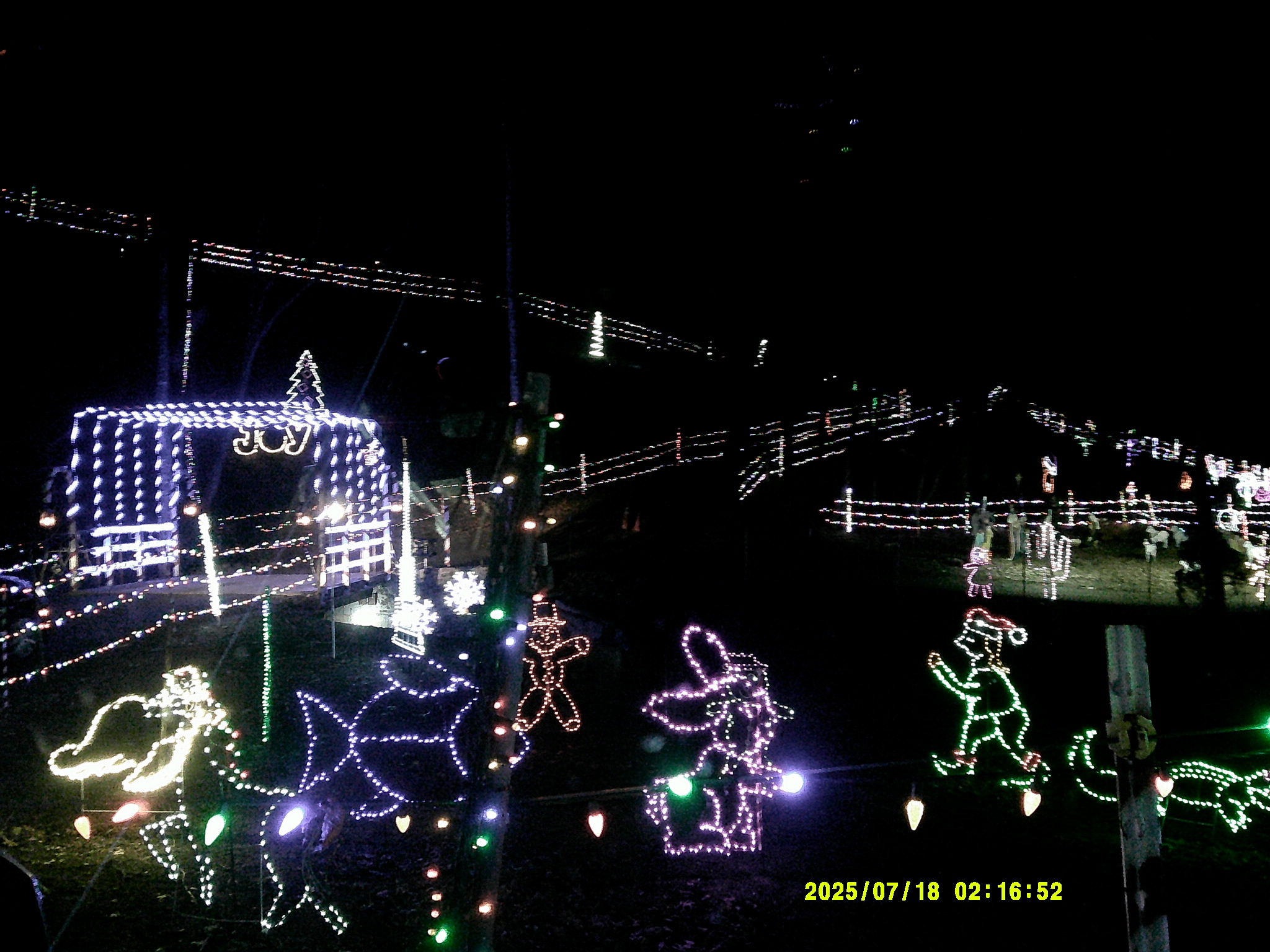 Christmas Lights 003.JPG