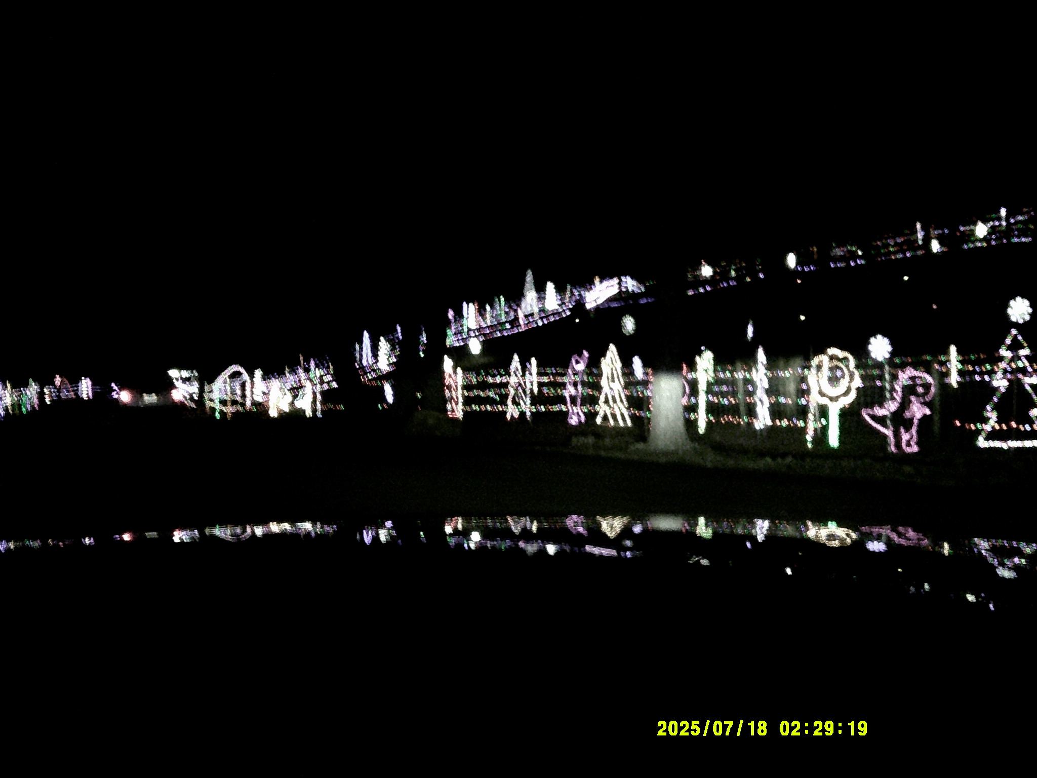 Christmas Lights 005.JPG