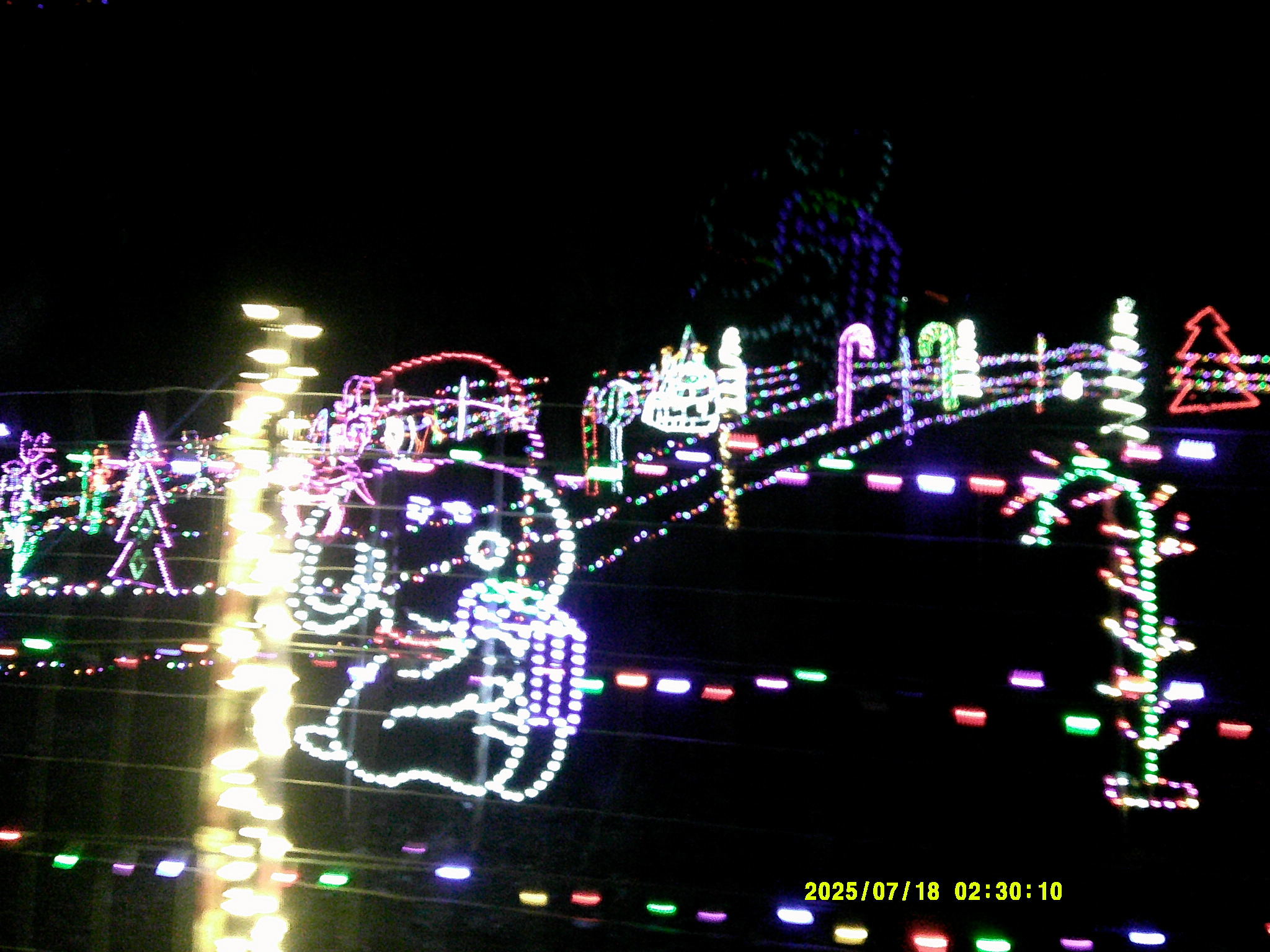 Christmas Lights 007.JPG