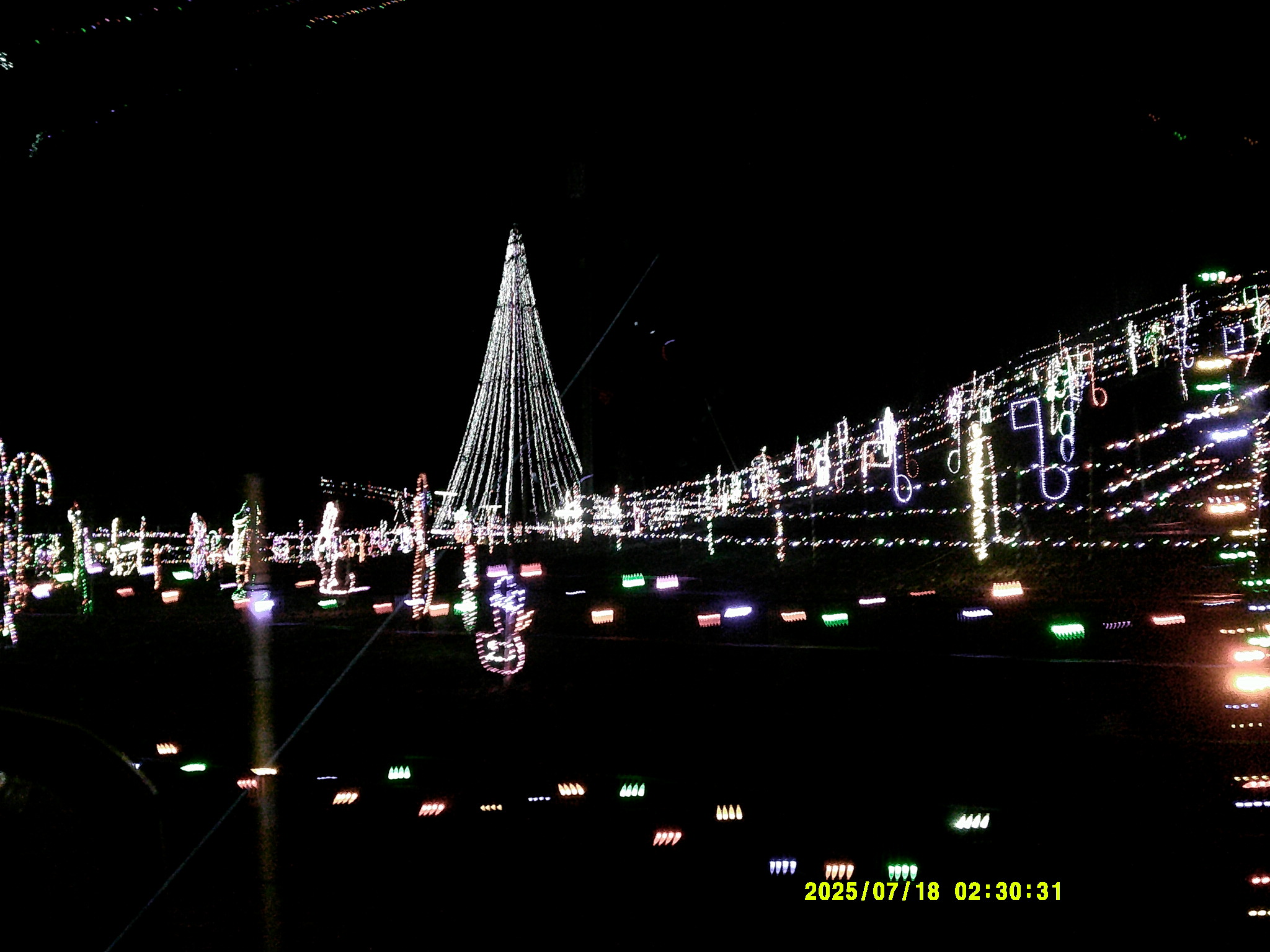 Christmas Lights 008.JPG