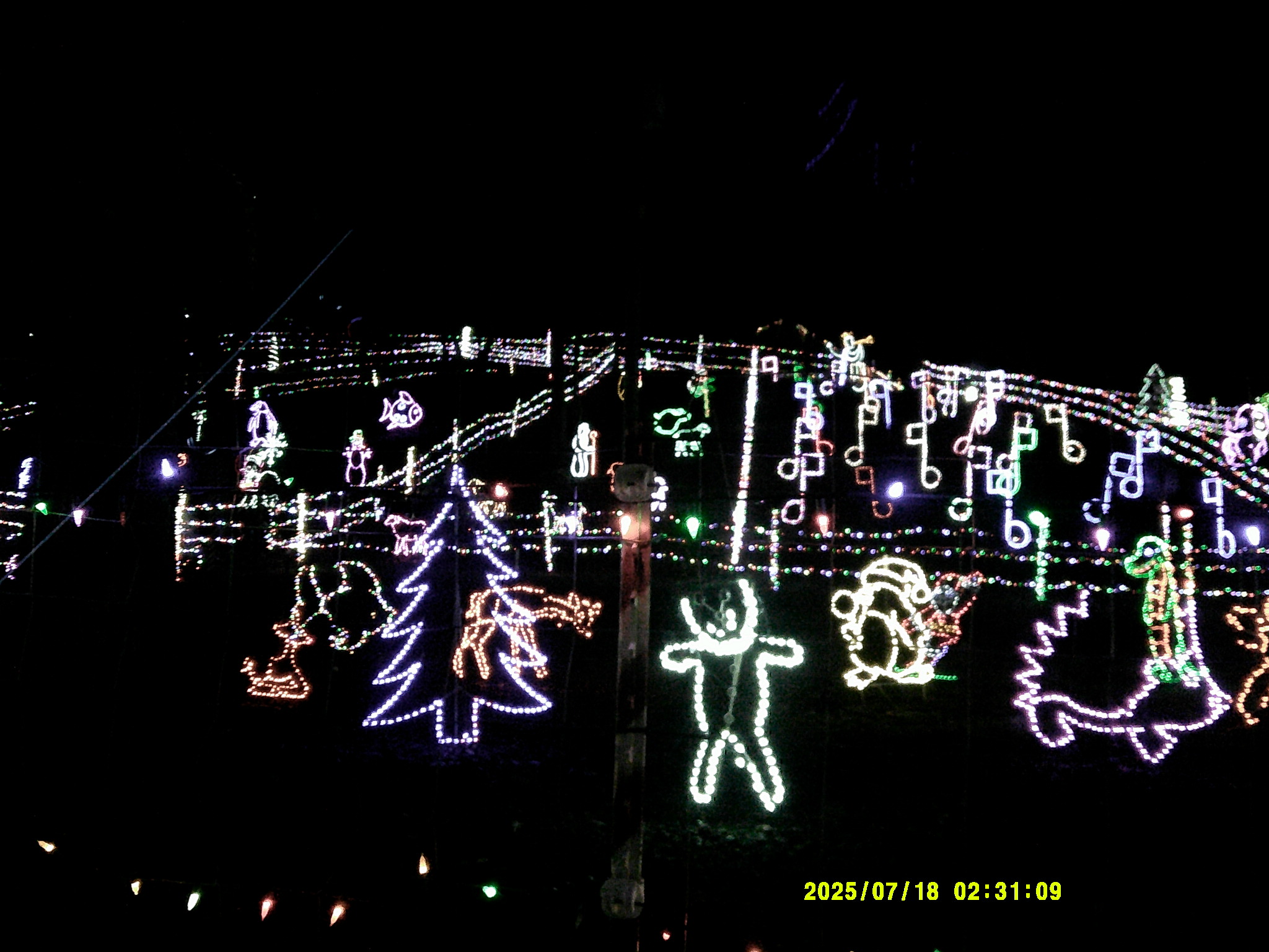 Christmas Lights 009.JPG