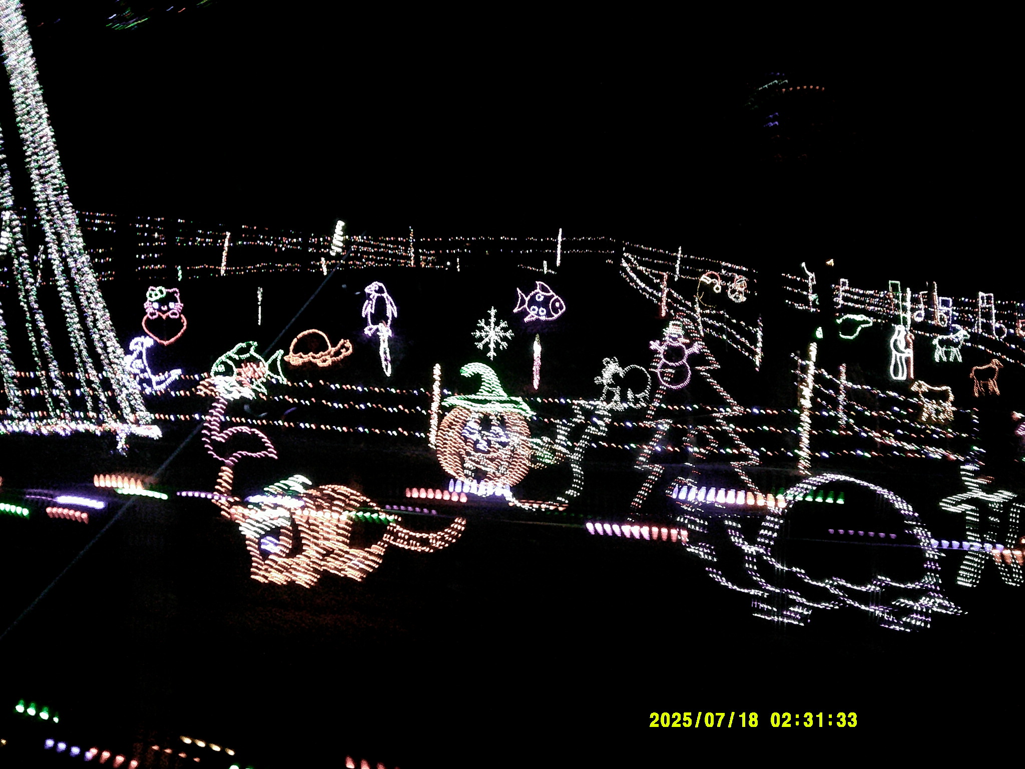 Christmas Lights 010.JPG