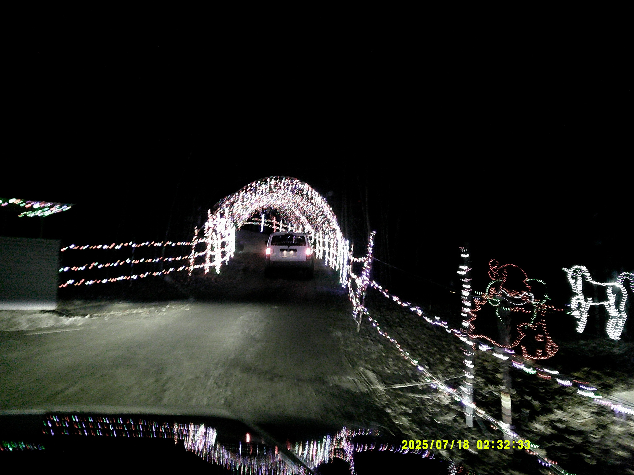 Christmas Lights 012.JPG