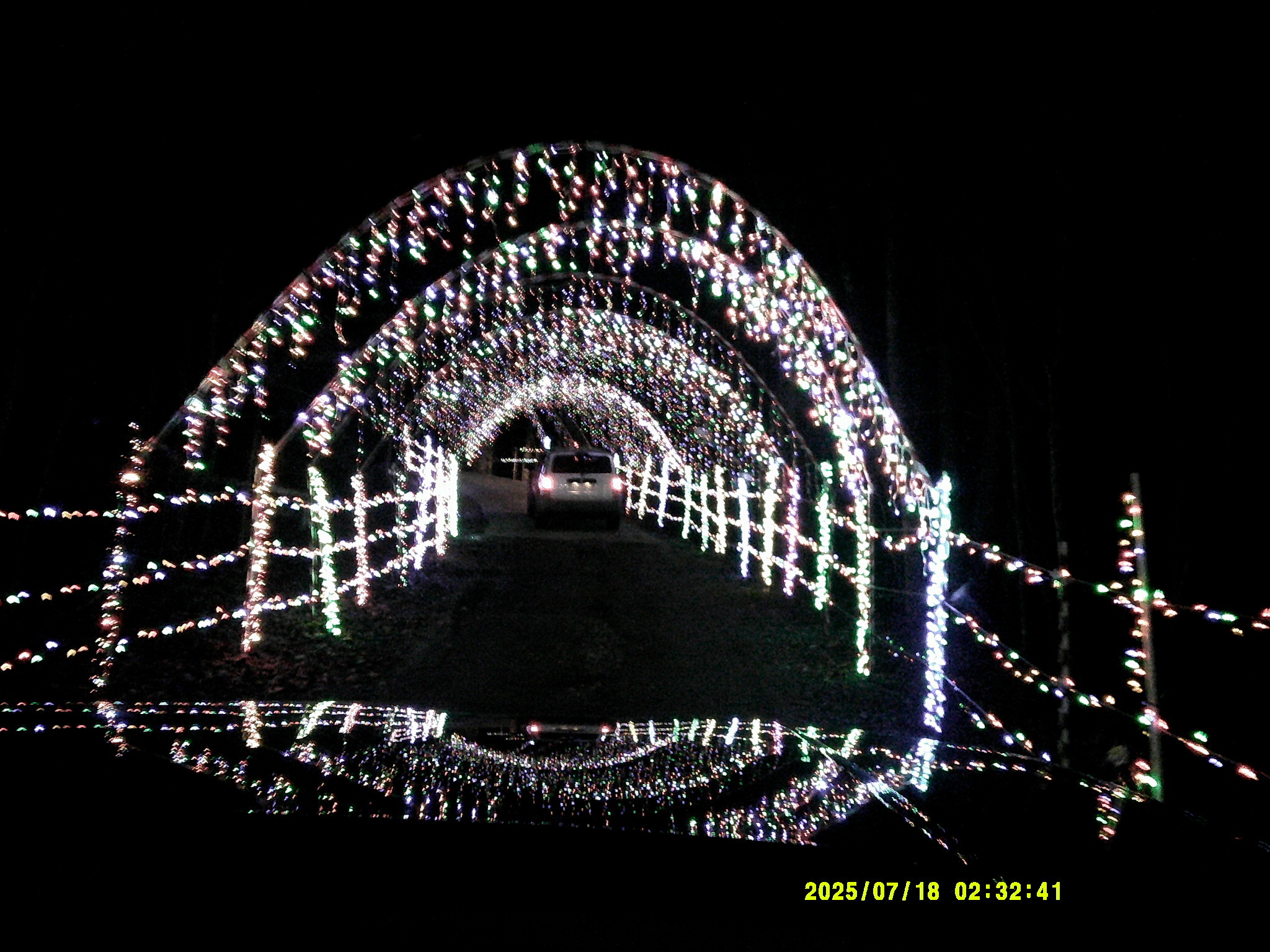 Christmas Lights 013.JPG