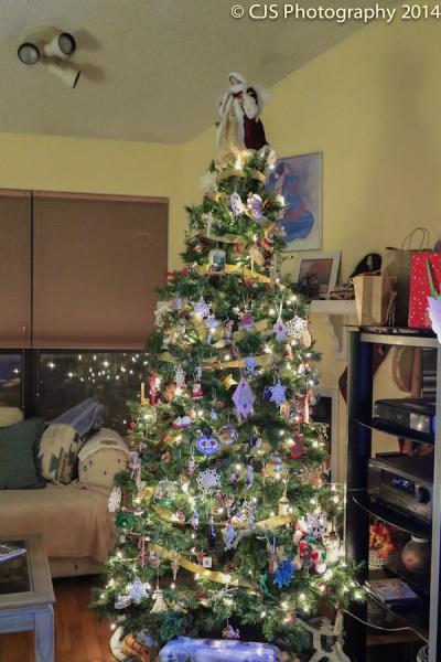 ChristmasTree2014 small.jpg