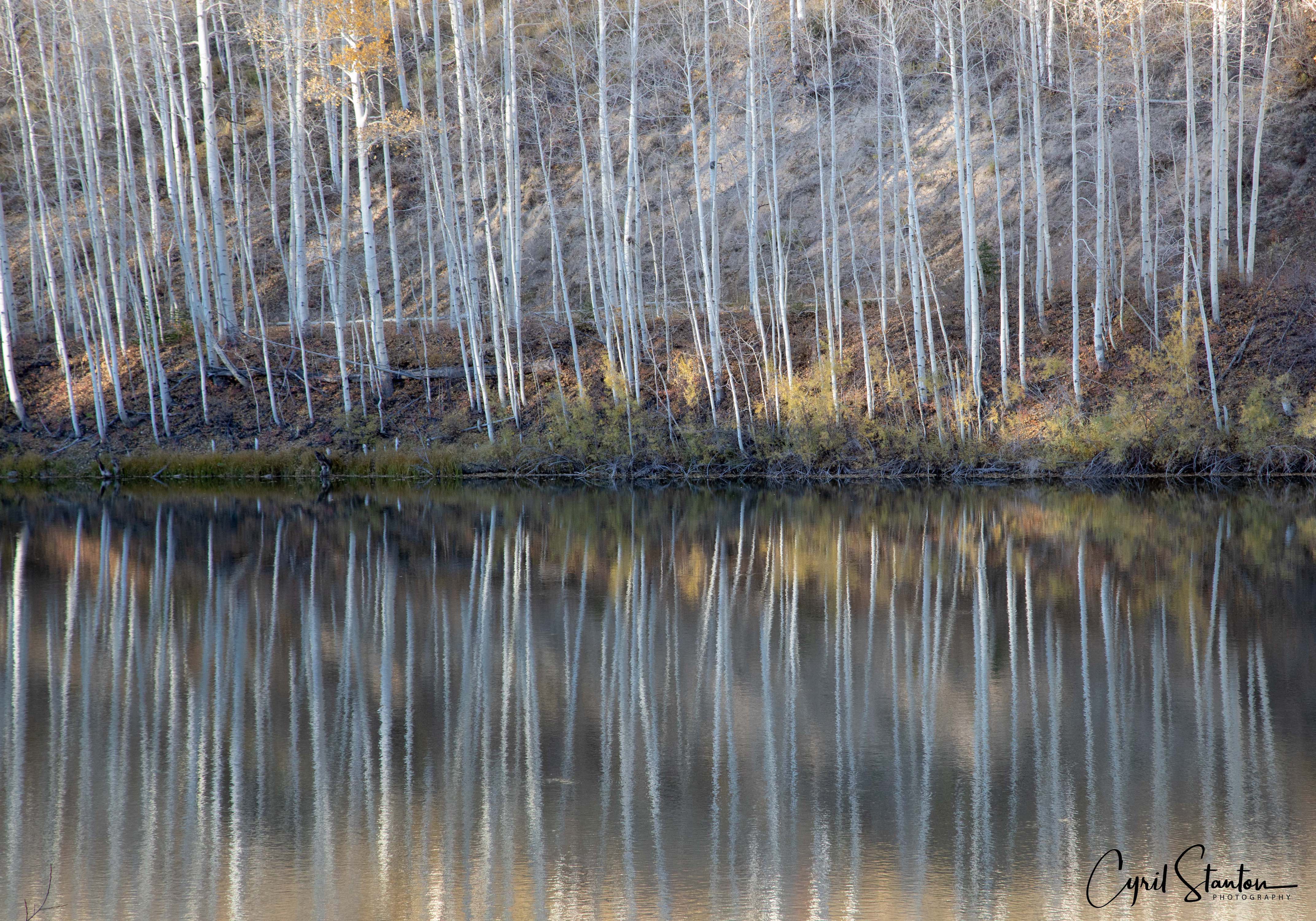 Colorado Fall 2022-3 copy.jpeg