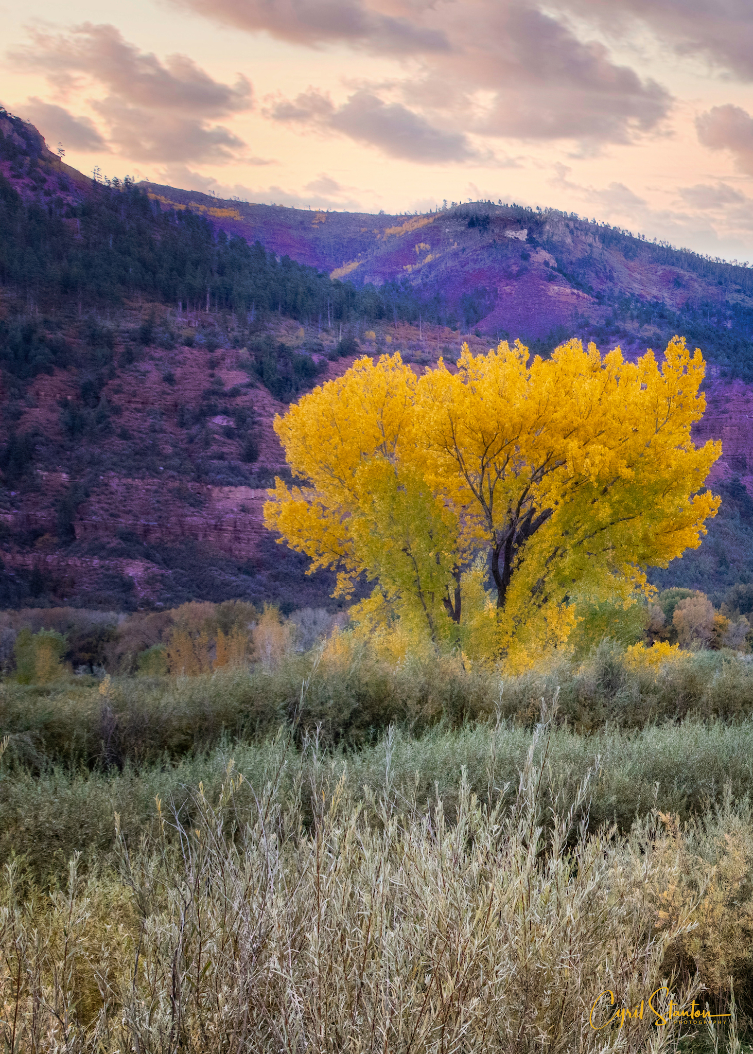 Colorado Fall 2022-7NEO2 copy.jpeg