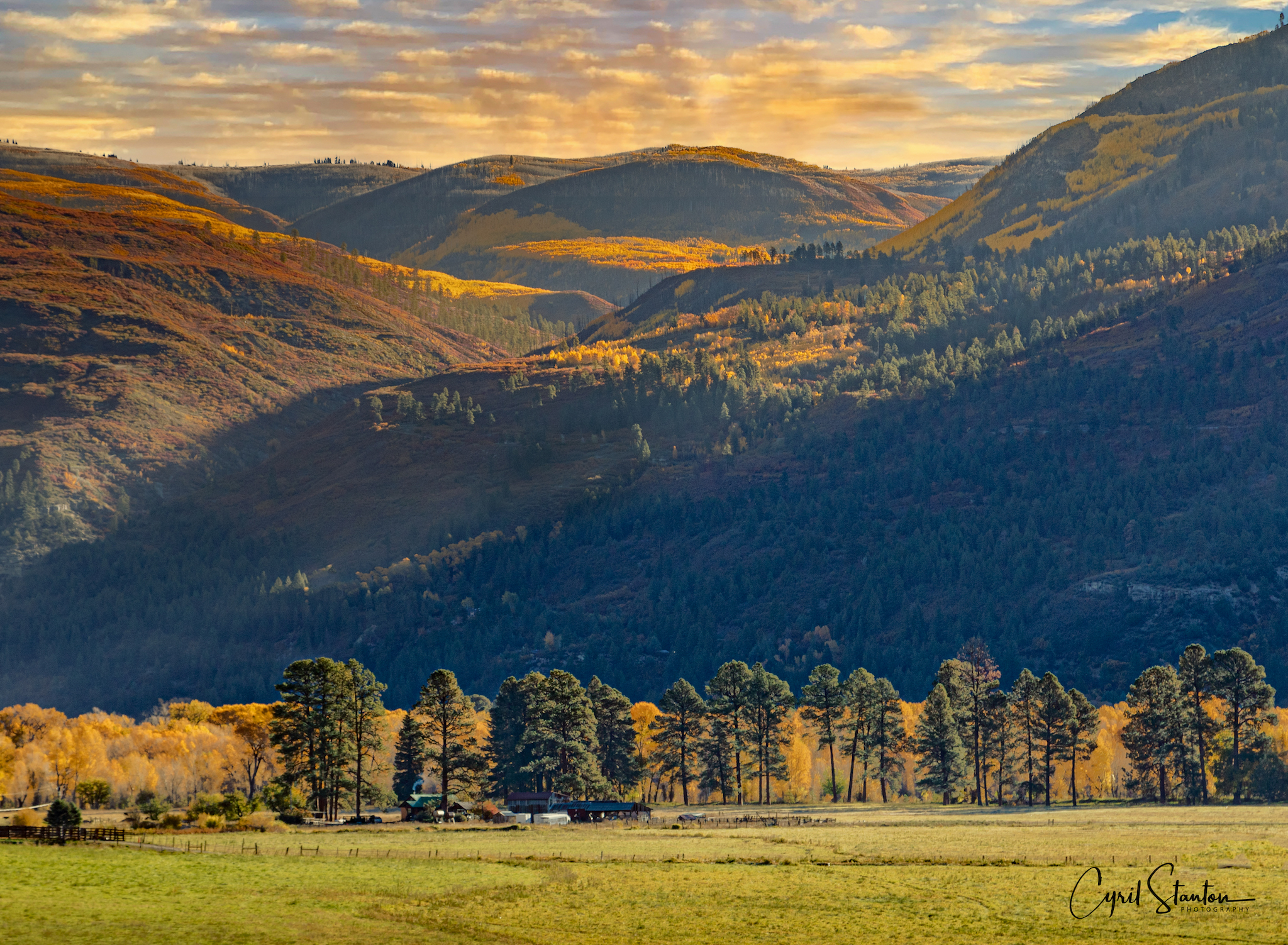 Colorado Fall 2022-8 copy.jpeg