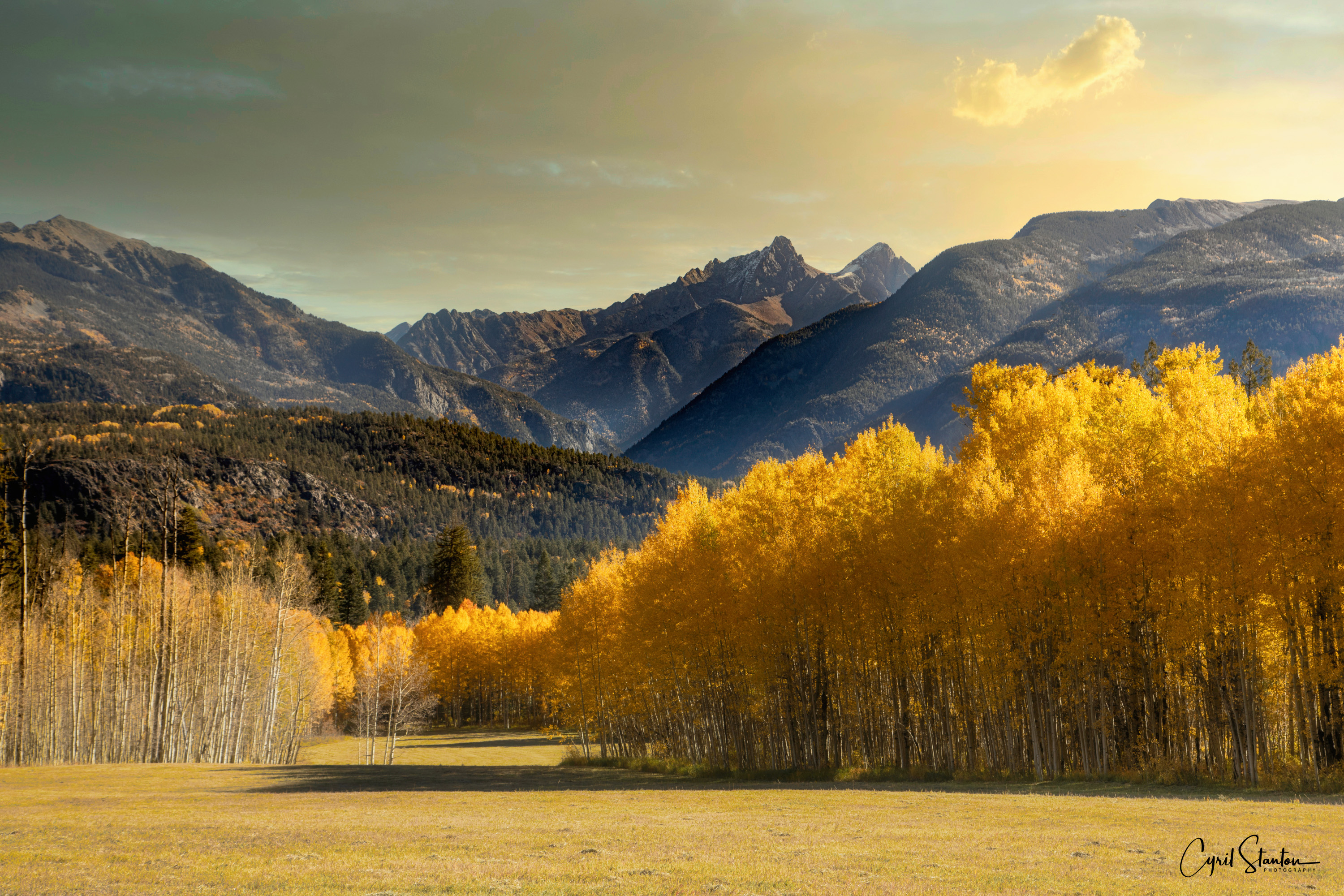 Colorado Fall 2022-9.jpg