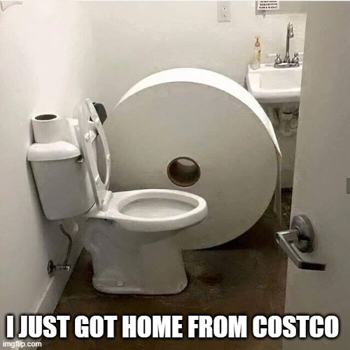 Costco TP.jpg