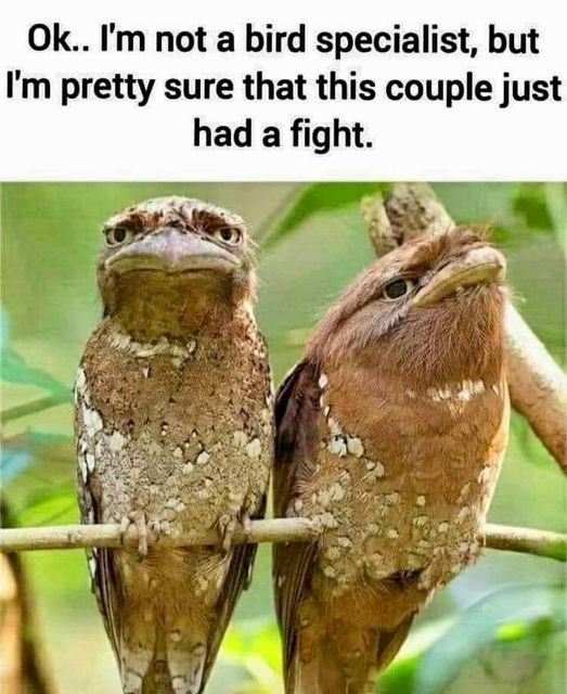 coupleRiff.jpg