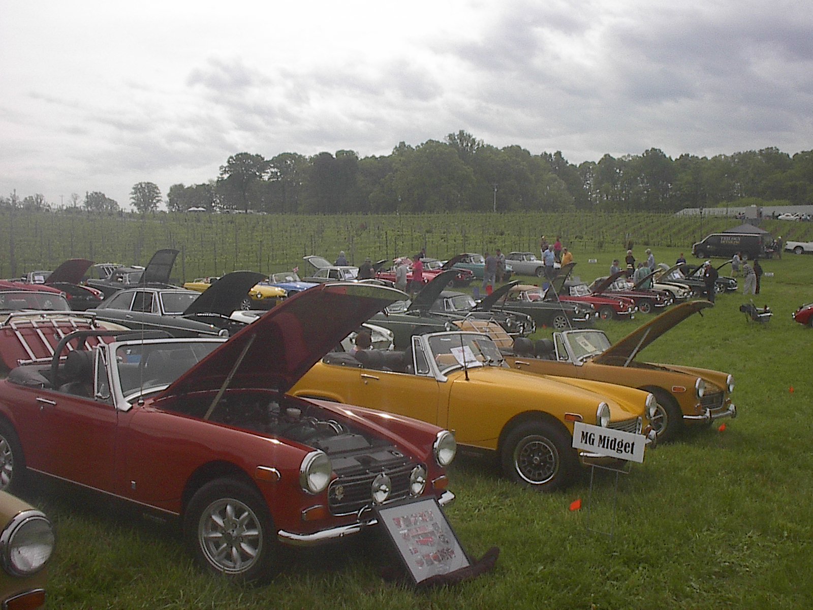 Dobson British Car Meet 2024 007.JPG