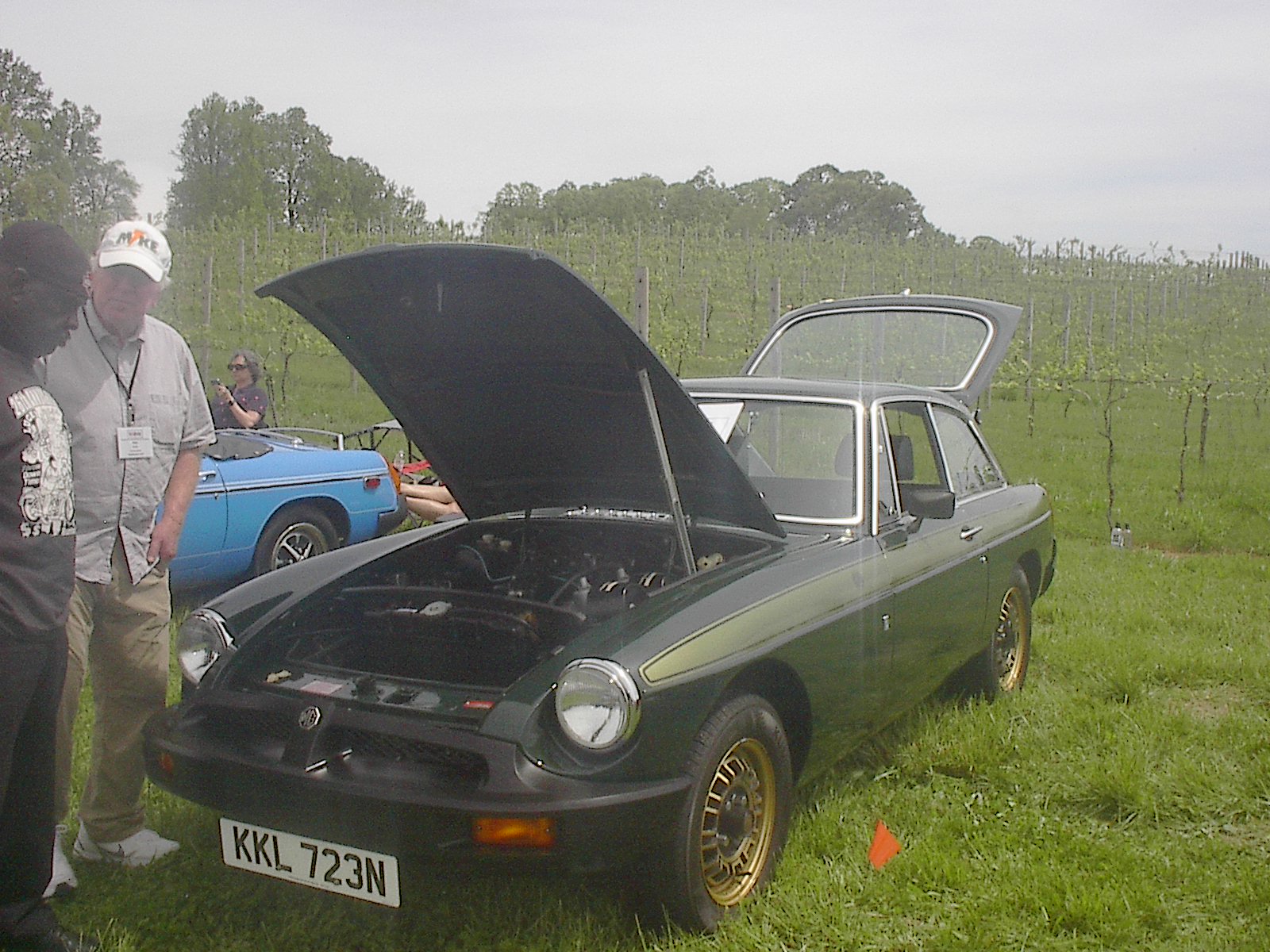 Dobson British Car Meet 2024 011.JPG