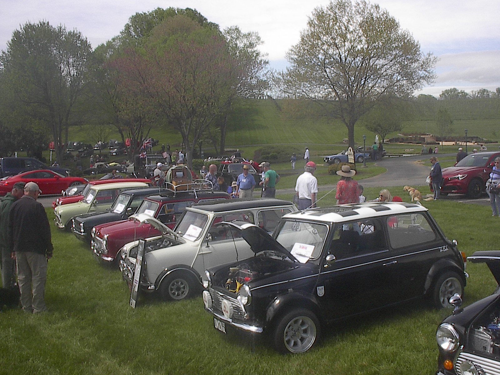 Dobson British Car Meet 2024 014.JPG