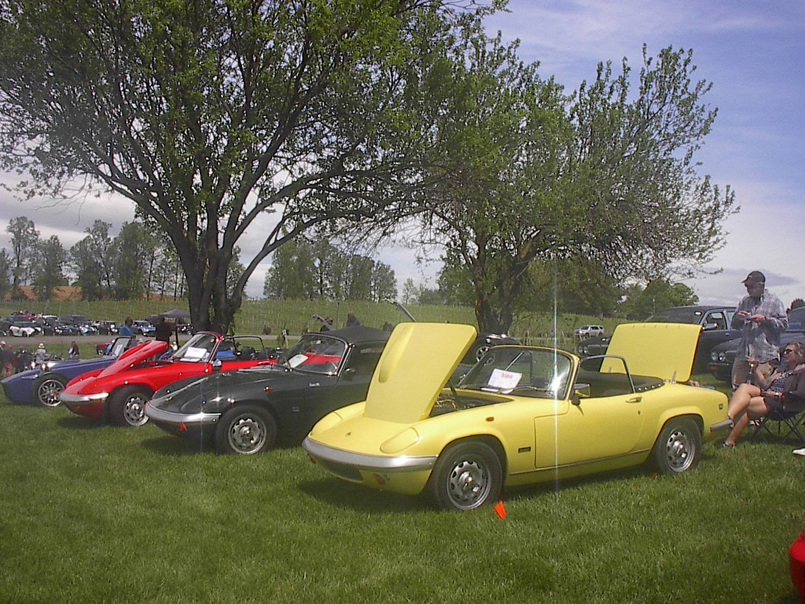 Dobson British Car Meet 2024 017.JPG