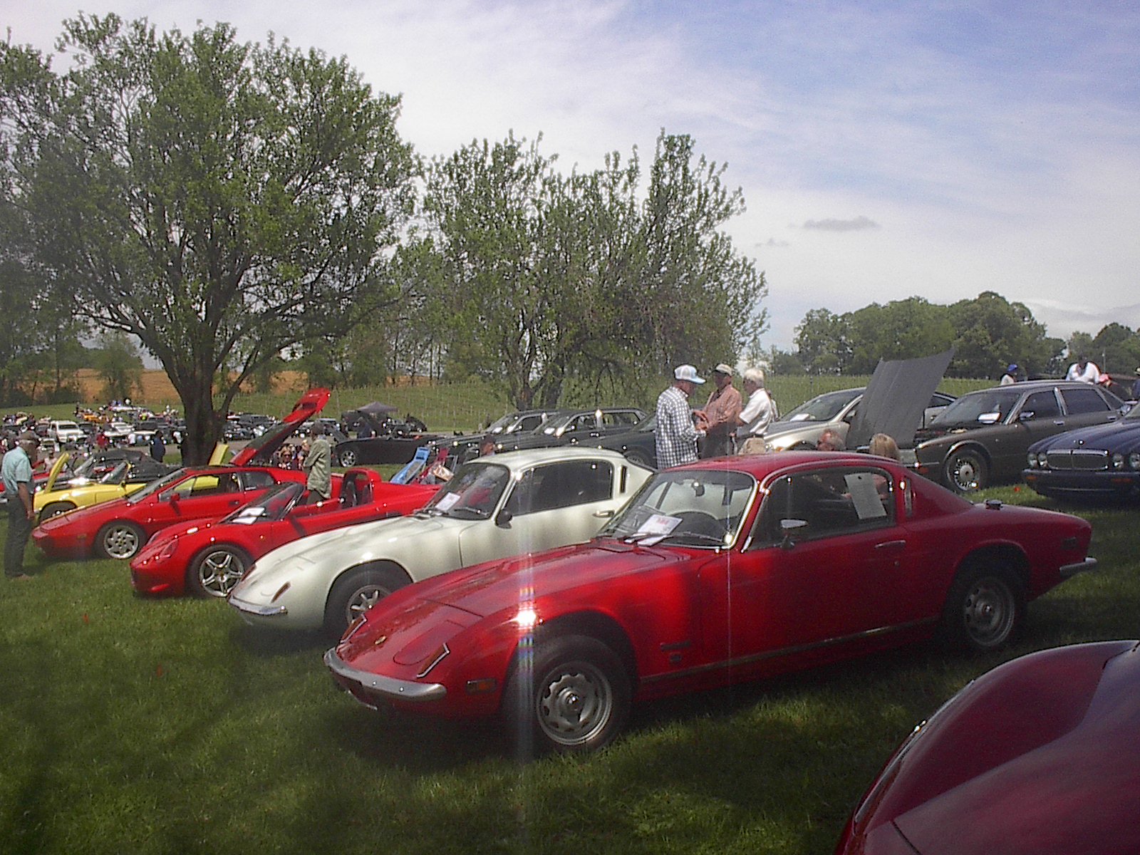 Dobson British Car Meet 2024 019.JPG